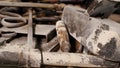 Set of rusty tools for carpenter Royalty Free Stock Photo