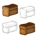 Set of rye bread illustration isolated on white. hand drawn outline and colored dark breads engraved icon collection