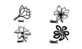 set of saffron flower icon, crocus Flower, flower vector on white background Royalty Free Stock Photo