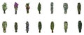 Set of sage and herbs sage smudge sticks bundles. Vector stock hand-drawn set of isolated doodles on white background. Collection Royalty Free Stock Photo