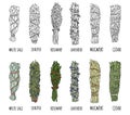 Set of sage and herbs sage smudge sticks bundles. Vector stock hand-drawn set of isolated doodles on white background. Collection Royalty Free Stock Photo