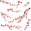 Set of sakura japan cherry branch. EPS 10 Royalty Free Stock Photo