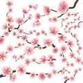 Set of sakura japan cherry branch. EPS 10