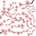 Set of sakura japan cherry branch. EPS 10 Royalty Free Stock Photo