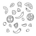 set of salad ingredients, pineapple slices, tomato and pepper, broccoli and olives, vector cartoon