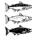 Set of salmon icons on white background. Design element for logo, label, emblem, sign. Royalty Free Stock Photo