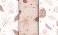 Set of samples pattern with abstract autumn elements, shapes, plants and leaves in one line style. For mobile app page