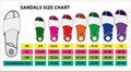 Set of sandals chart size or socks chart size or measurement foot chart concept. Eps 10 vector