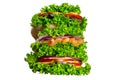 set of sandwiches with fresh salmon, ham, vegetables, salad. Homemade. Healthy fast food. Isolate Royalty Free Stock Photo