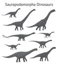 Set of sauropodomorpha dinosaurs. Monochrome vector illustration of dinosaurs isolated on white background. Side view Royalty Free Stock Photo