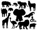 Set of Savannah animals silhouettes on white background. Tiger, lion rhinoceros, common warthog, African buffalo, tortoise, Royalty Free Stock Photo