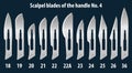 Set of scalpel handle blades No. 4. Manual surgical medical instrument. Vector illustration.