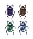 Set of scarab beetles