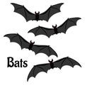 Set of scary halloween bats Royalty Free Stock Photo