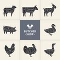 Set a schematic view of animals for the butcher shop.