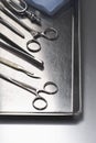 Set of scissors and teasers on tray