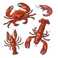 Set sea animal crustacean. Lobster, crab, shrimp. Vector monochrome engraving