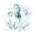 Set of sea animals. Blue watercolor ocean fish, turtle, sea horse whale and coral. Shell aquarium background. Nautical Royalty Free Stock Photo