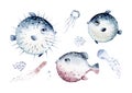 Set of sea animals. Blue watercolor ocean fish, turtle, whale and coral. Shell aquarium background. Nautical dolphin marine Royalty Free Stock Photo