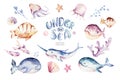 Set of sea animals. Blue watercolor ocean fish, turtle, whale and coral. Shell aquarium background. Nautical marine hand