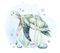 Set of sea animals. Blue watercolor ocean fish, turtle, whale and coral. Shell aquarium background. Nautical marine hand