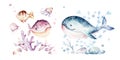 Set of sea animals. Blue watercolor ocean fish, turtle, whale and coral. Shell aquarium background. Nautical marine hand