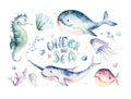 Set of sea animals. Blue watercolor ocean fish, turtle, whale and coral. Shell aquarium background. Nautical marine hand