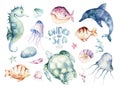 Set of sea animals. Blue watercolor ocean fish, turtle, whale and coral. Shell aquarium background. Nautical wildlife Royalty Free Stock Photo