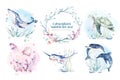 Set of sea animals. Blue watercolor ocean fish, turtle, whale and coral. Shell aquarium background. Nautical wildlife dolphin