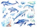 Set of sea animals. Blue watercolor ocean fish turtle whale and coral. Shell aquarium background. Nautical wildlife Royalty Free Stock Photo