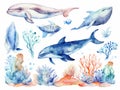 Set of sea animals. Blue watercolor ocean fish turtle whale and coral. Shell aquarium background. Nautical wildlife Royalty Free Stock Photo