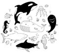 Set of sea animals. Cute big whale killer whale and shark, seahorse and dolphin, jellyfish and squid, fish and shells