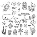 Set of sea animals in hand drawn style. Ocean life. Underwater, under the sea, marine