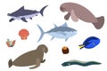 Set of sea animals - hummerhead shark tuna sea elephant surgeonfish manatees. Undersea world habitants print.