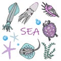 Set of sea animals. Skat, squid, turtle, starfish and shell