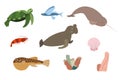 Set of sea animals - turtle narwhale elephant puffer fish shrimp. Undersea world habitants print.