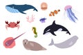 Set of sea animals - whale seal, crab jellyfish seahorse. Undersea world habitants print.