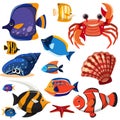 A Set of Sea Creatures Royalty Free Stock Photo