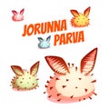 Set of sea cute slug Jorunna Parva. Vector