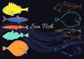 Set of sea fish on a black background. Perch, cod, mackerel, flounder, saira. Vector color doodle. Royalty Free Stock Photo