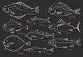 Set of sea fish. Seafood. Vector sketch Royalty Free Stock Photo