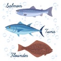 Set of sea fish. Vector isolated icons of fish. Salmon, tuna and flat fish.