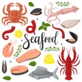 A set of sea food. Squid, octopus, red fish, fillet,mussels, crab, crayfish, lemon, green twigs. A collection in a flat Royalty Free Stock Photo