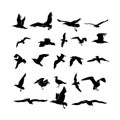 Set of sea gull, seabird flying black silhouette. Freehand drawing. Drawing free flight group icon. Freedom print art. Vector illu Royalty Free Stock Photo