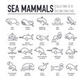 Set of sea mammals thin line icons, pictograms.