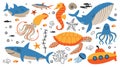 Set of sea and ocean animals Royalty Free Stock Photo