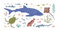 Set of sea and ocean habitats. Bundle of marine fishes, animals and plants. Small fry, whale shark, turtle, stingray