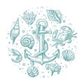 Set sea shell, coral, crab, shrimp and anchor.