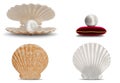 Set of sea shell with pearl inside. Collection gems, women`s jewelry, nacre beads. Pearl on red velvet pillow. Set sea Royalty Free Stock Photo