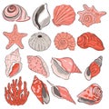 Set of sea shells isolated on white background. Vector graphics Royalty Free Stock Photo